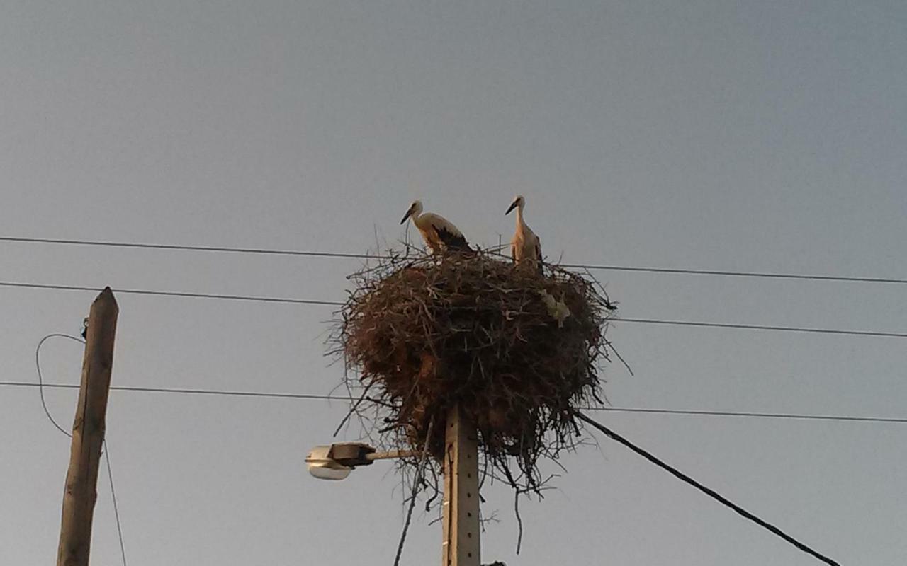 Casa Natura カストロ・マリン エクステリア 写真